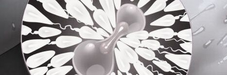 💕 Flower 💕 banner