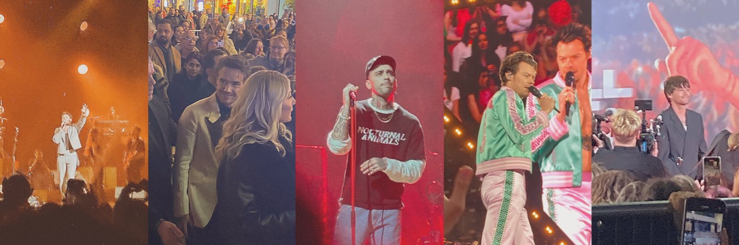 Hori Zayn 👽🐆 banner
