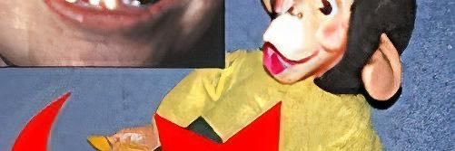 NotTheCoyote's profile banner image