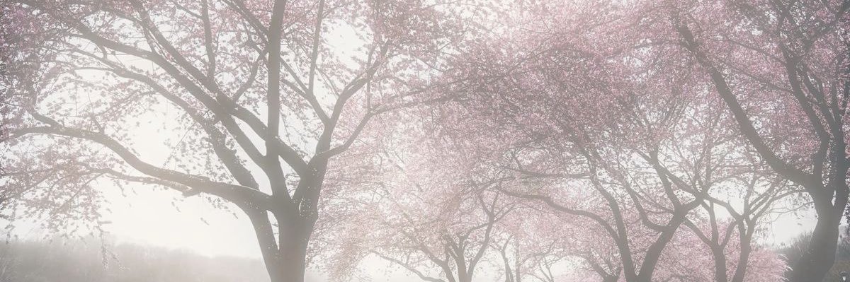 j.m ⦿ ☰ ☲ banner