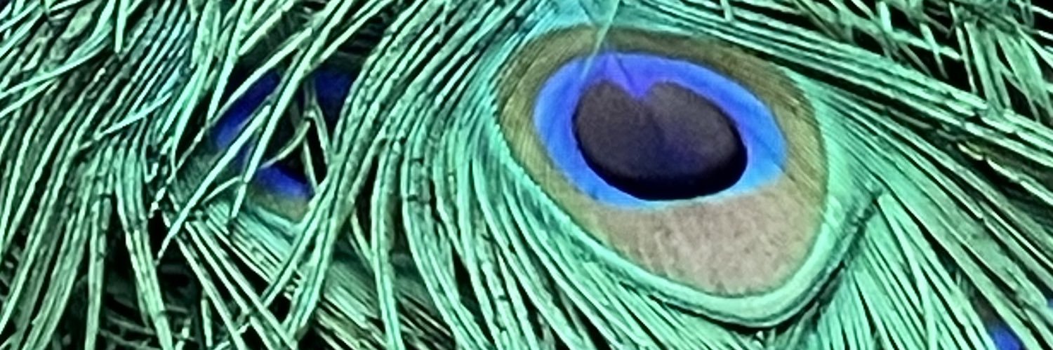 imtyp1d's profile banner image