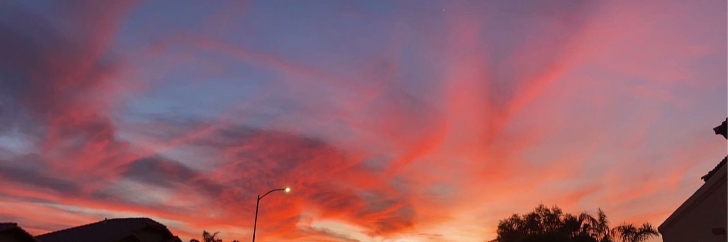 OlsenBrielle's profile banner image