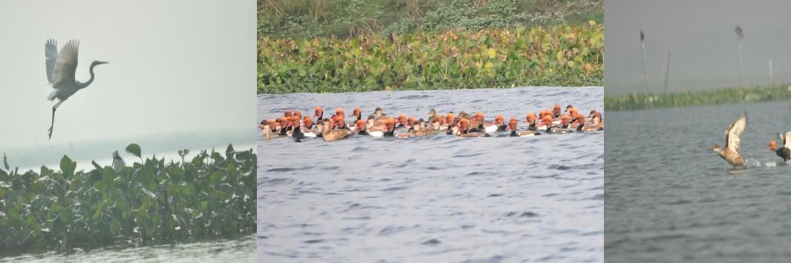 जिला प्रशासन, कटिहार banner