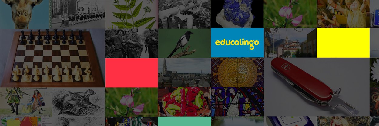 educalingo's profile banner image