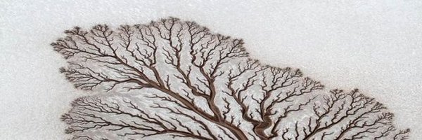 Quant_AILab Profile Banner