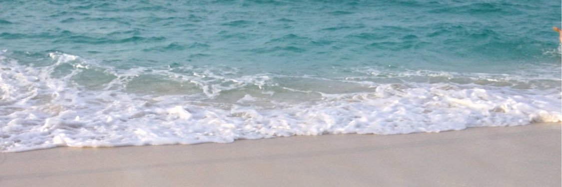 msengle4's profile banner image