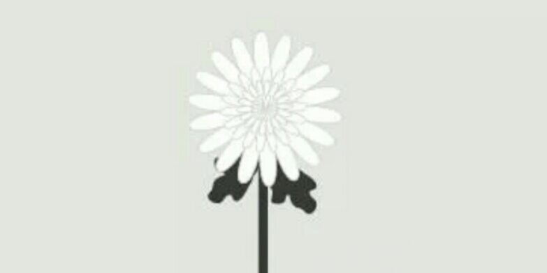 carvinkim's profile banner image