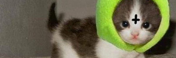 a_lopeez_ Profile Banner