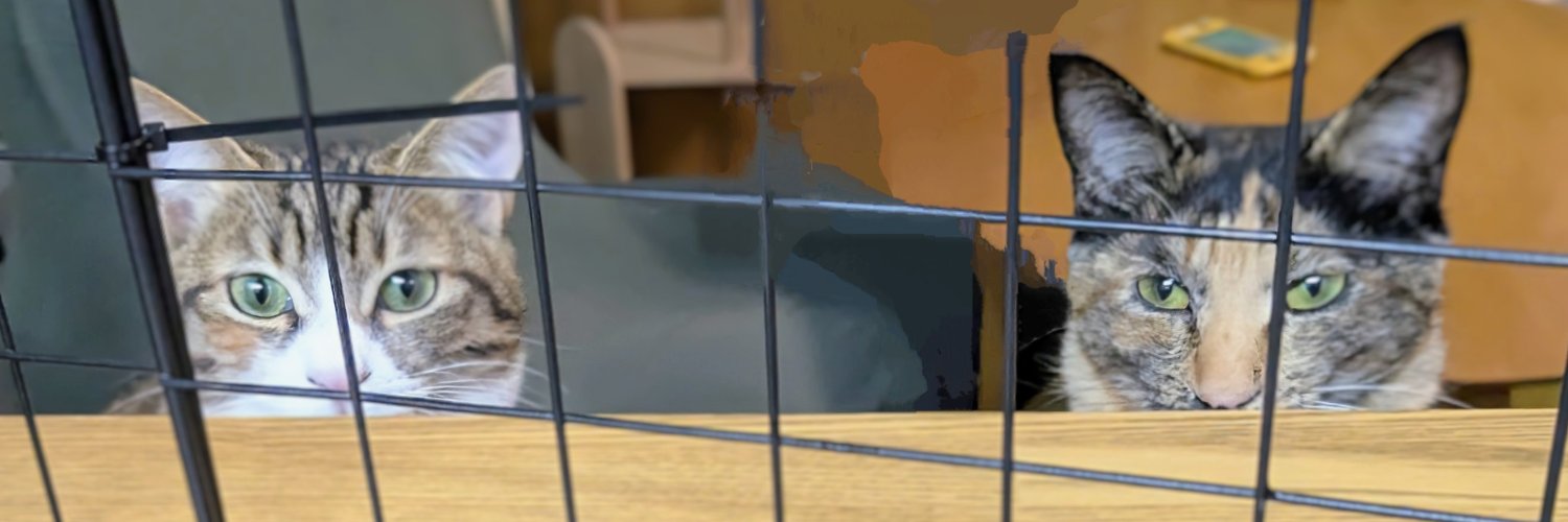 quunplant's profile banner image