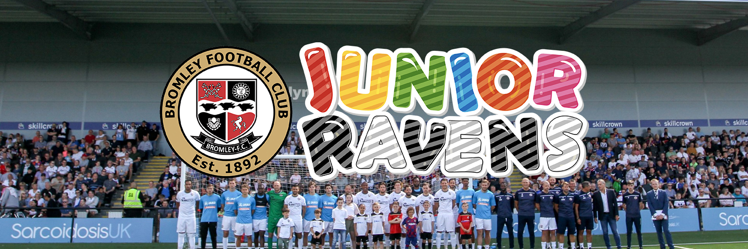 Ronin The Raven banner