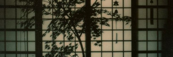marie de apple banner