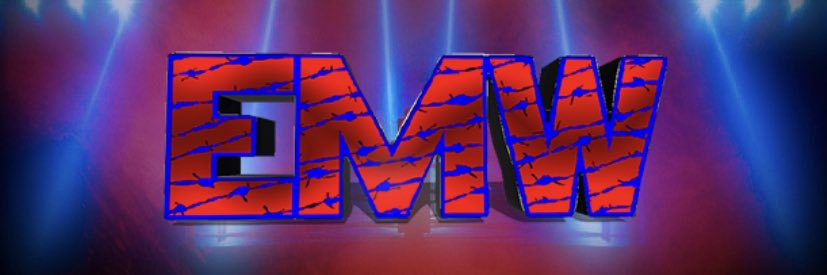 EMW Figure Shelf banner