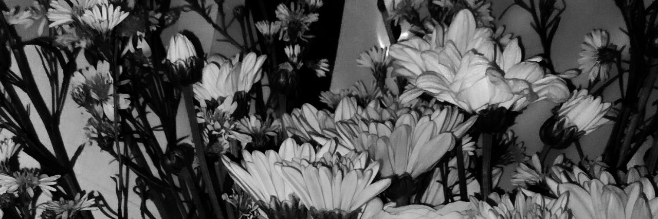 plutonoidzz's profile banner image