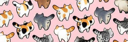 LittleSecretD's profile banner image