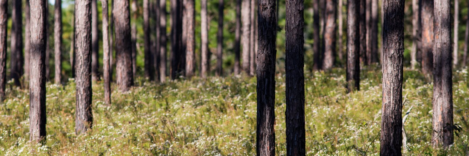 Dr. Scott Angle banner