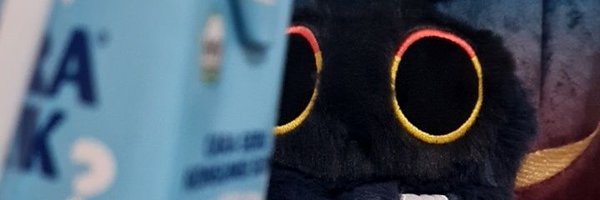 denibunnii Profile Banner