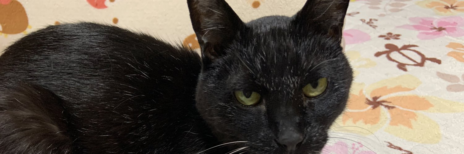 マリン☕🐴 banner