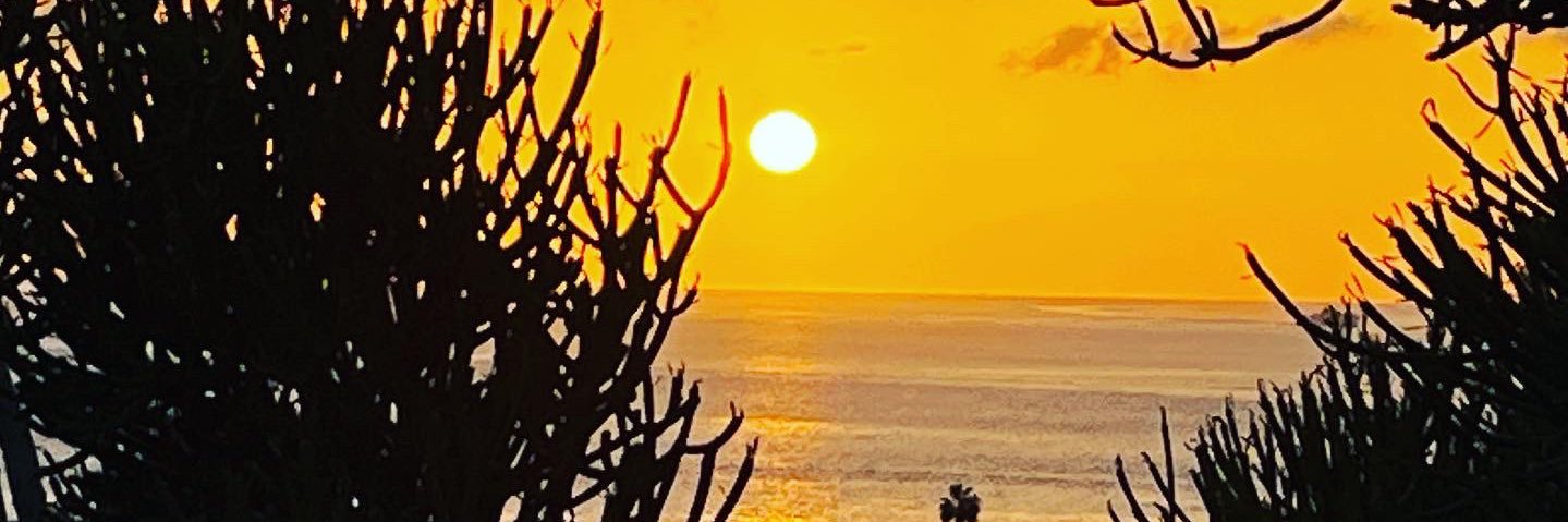 Michael Workman banner