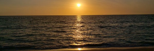 LEORODR59649308 Profile Banner