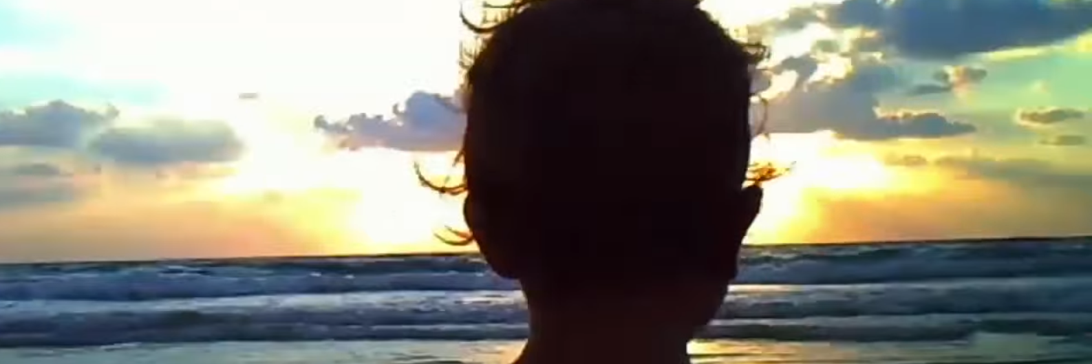 bellosaurio's profile banner image