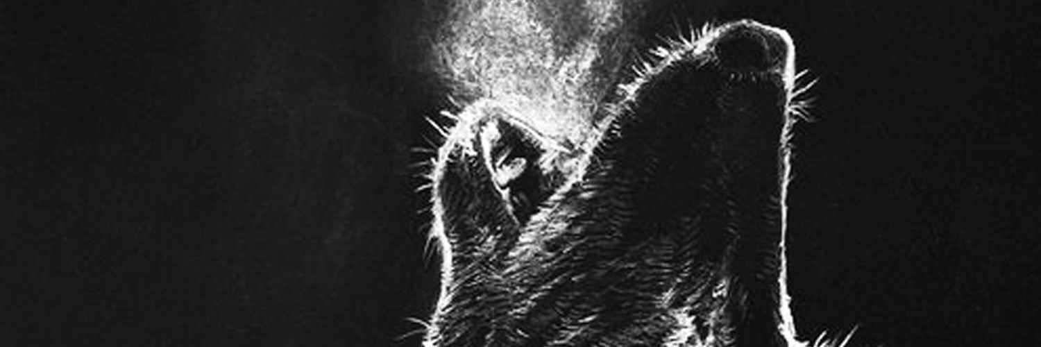Tjaywhyte's profile banner image