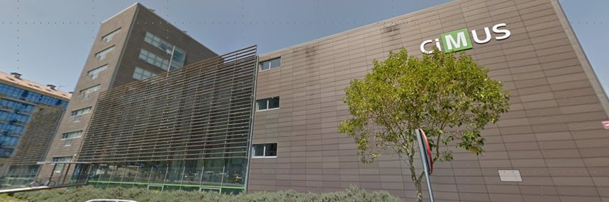 Memoen Group USC banner