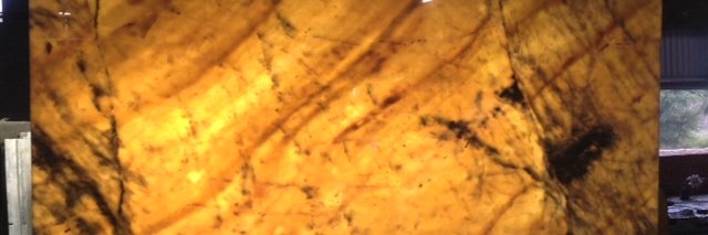 bhatrax's profile banner image