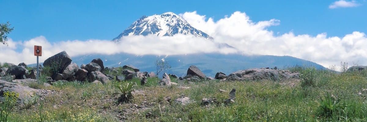 suatsm's profile banner image