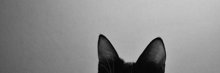 RoxyVib3's profile banner image