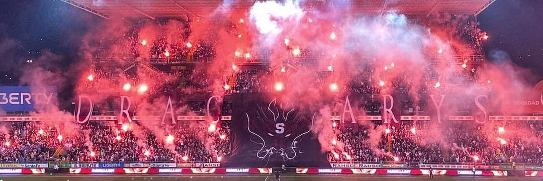 Bowser Morado banner