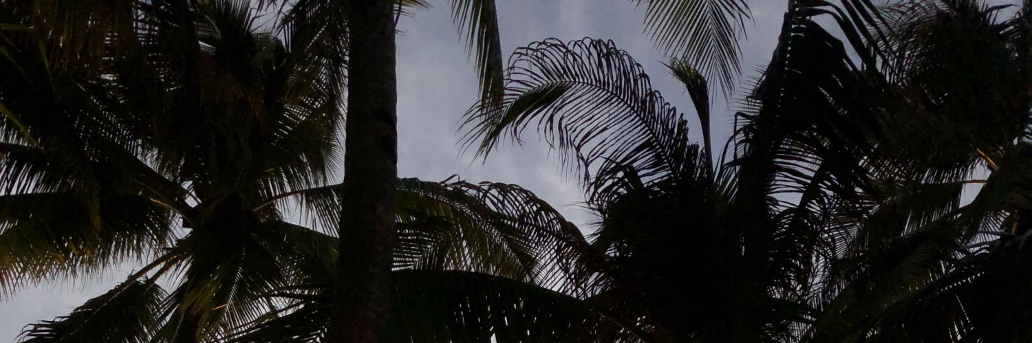 NCchristiann's profile banner image