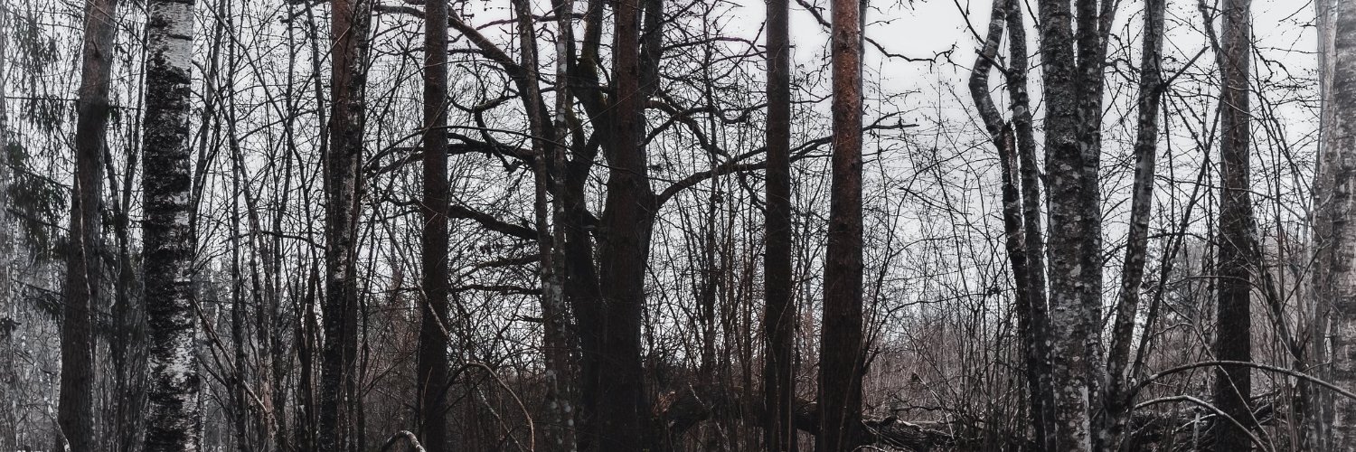 the_rewriter528's profile banner image