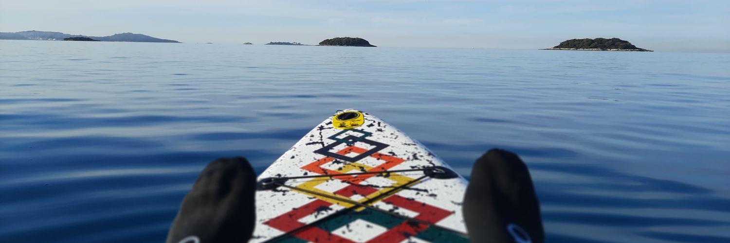 David Gomez Varela PhD banner