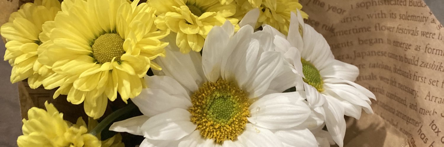 pomme0403's profile banner image