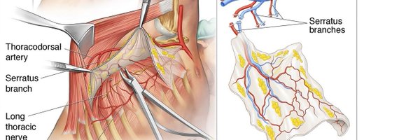 AnnalsPlastic Profile Banner