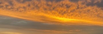 Sophie Broderick's banner