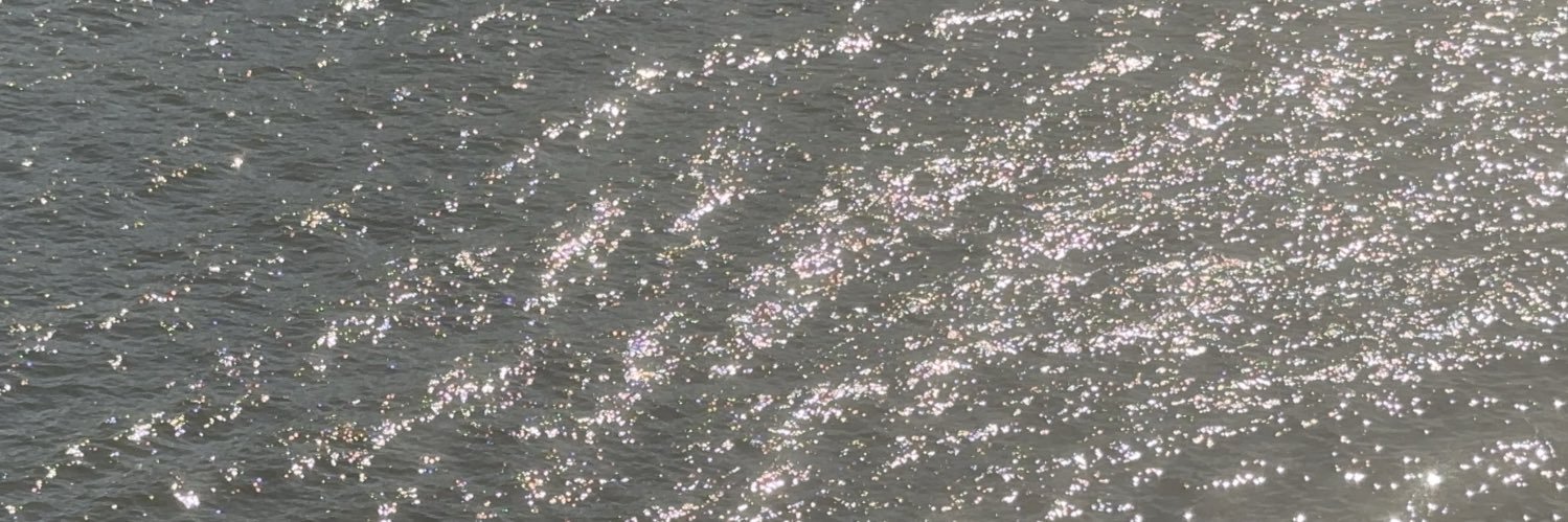 ⋆ ˖* ࿔･ nari banner