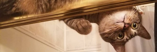BinkleBonkleBoy Profile Banner