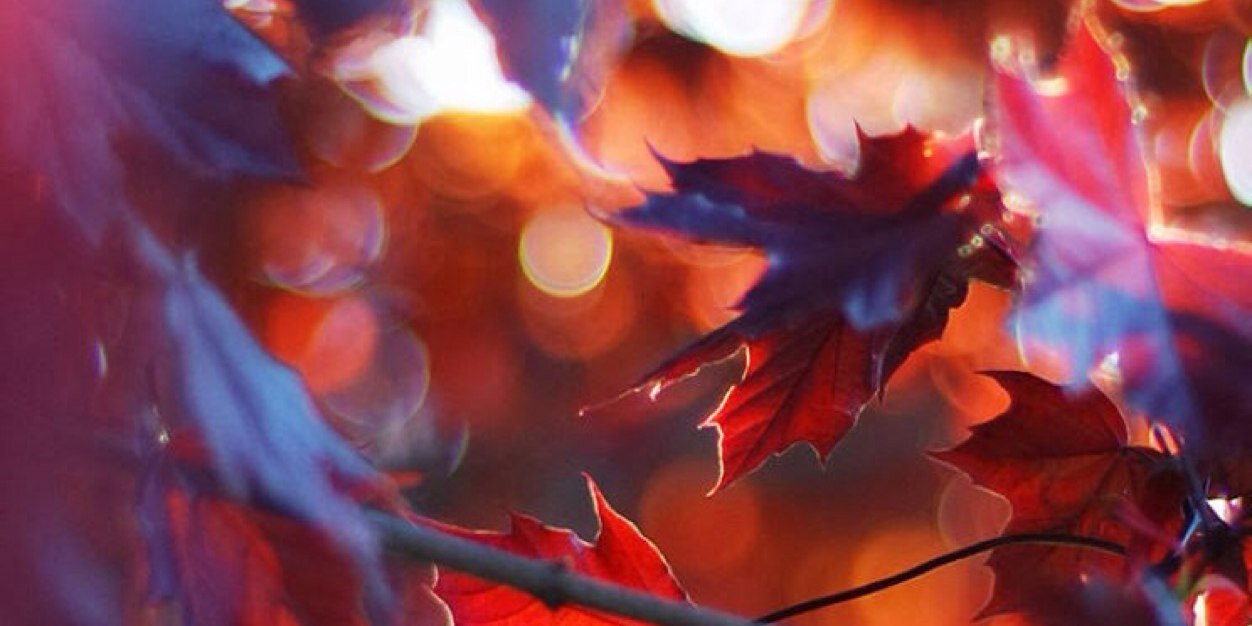 anuvenkat_13's profile banner image