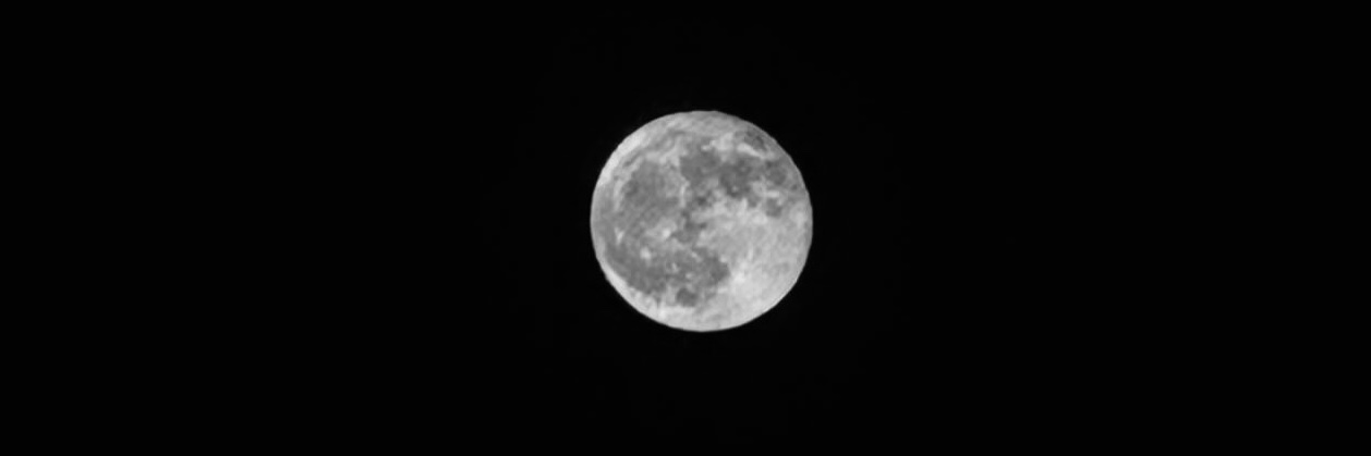 ام راشـــــد banner