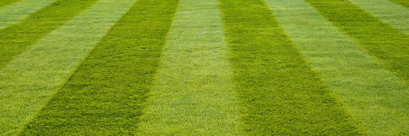 BryGuy banner