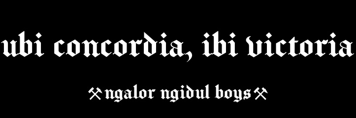 roniiaditya's profile banner image