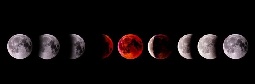 🪼L’introuvable🃏 banner