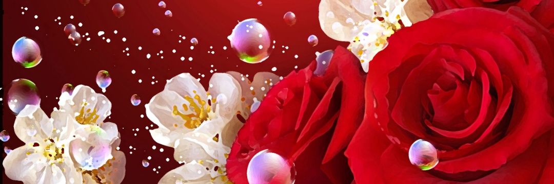 akinaseiko's profile banner image