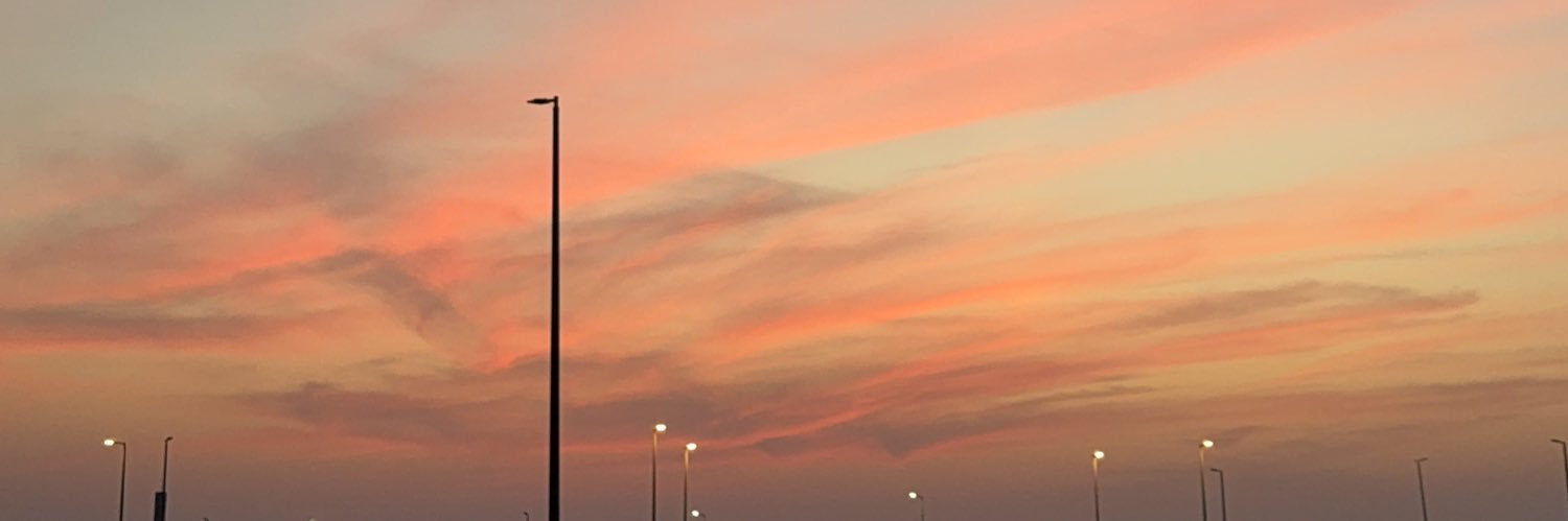 12 banner