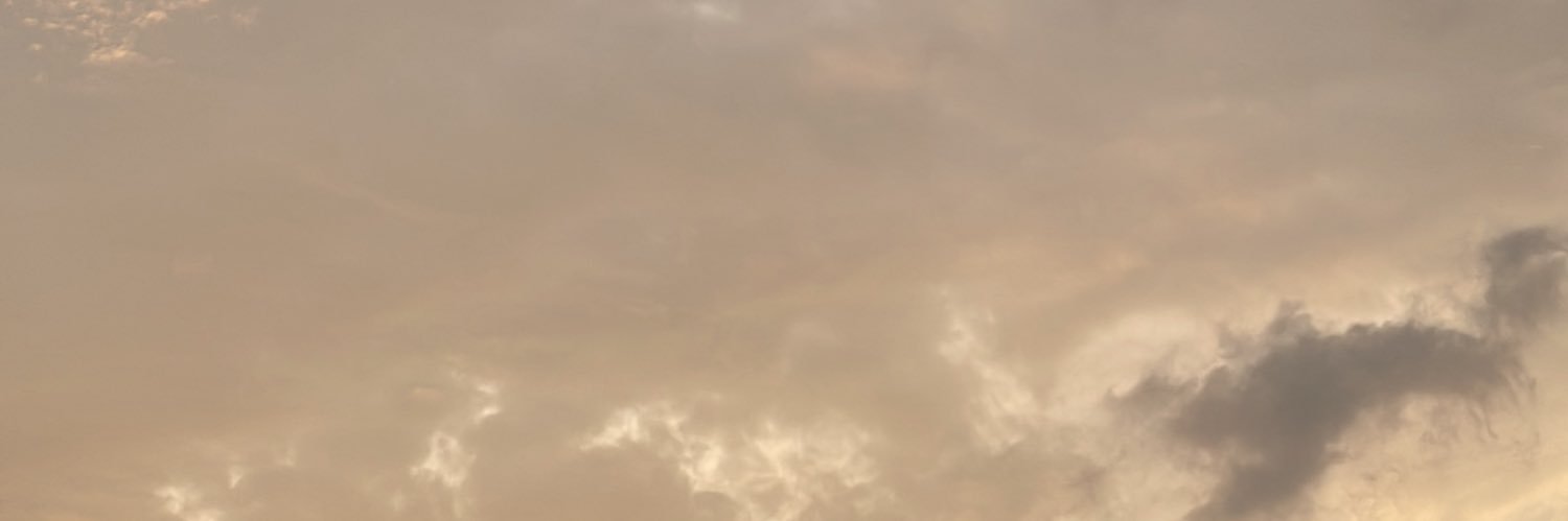 nvdvdvm's profile banner image