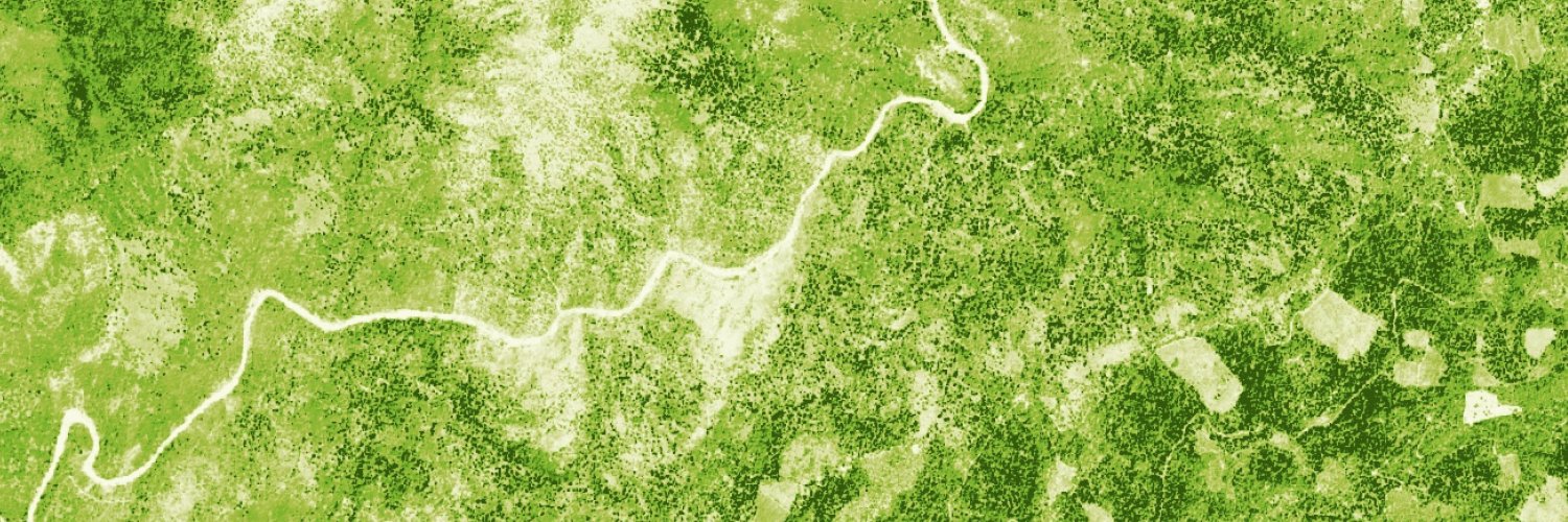 California Forest Observatory banner