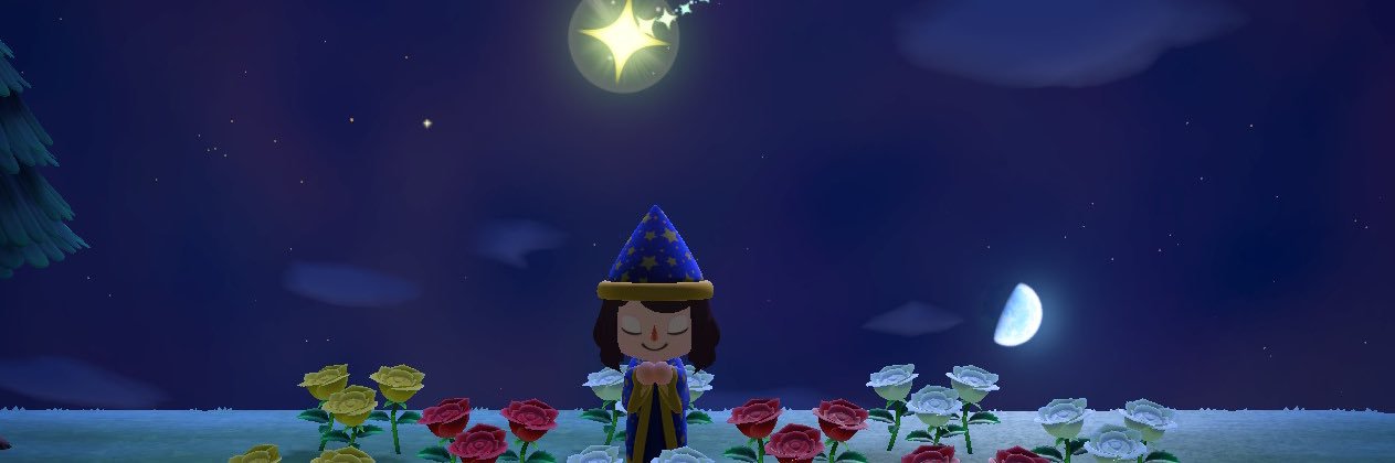 AlizaCrossing's profile banner image