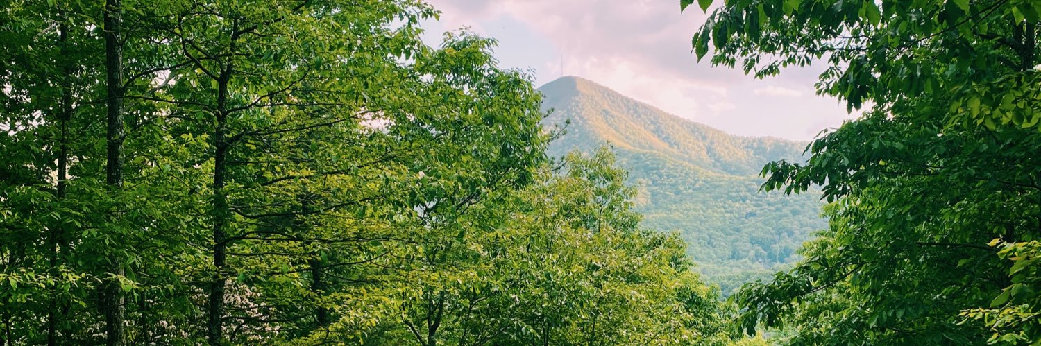 wolf of y’all street banner