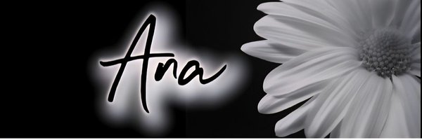 ana_in_tx Profile Banner